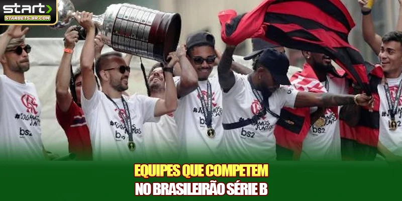 Equipes que competem no brasileirão série B